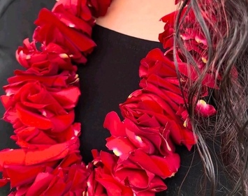 Celebration Leis