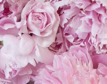 Pastel