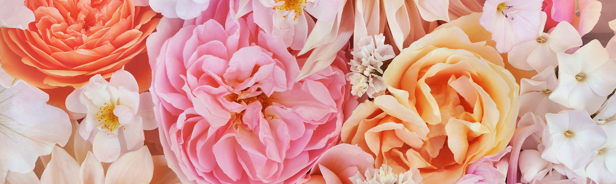 Flowerama San Antonio Flower Delivery San Antonio, TX Florist