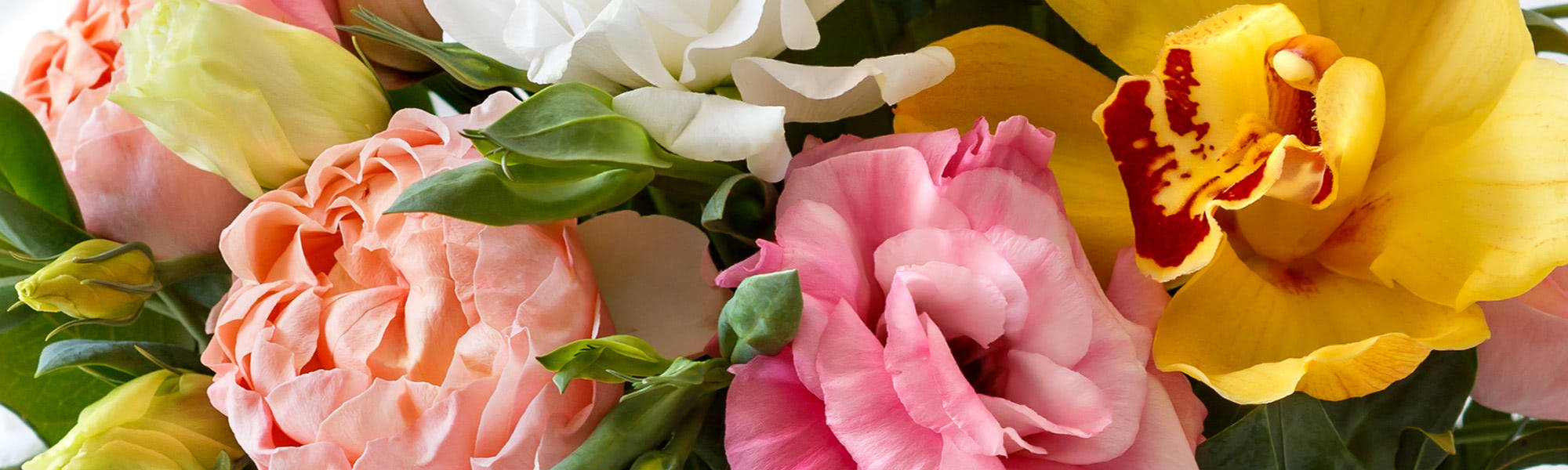 Flowerama San Antonio Flower Delivery San Antonio, TX Florist