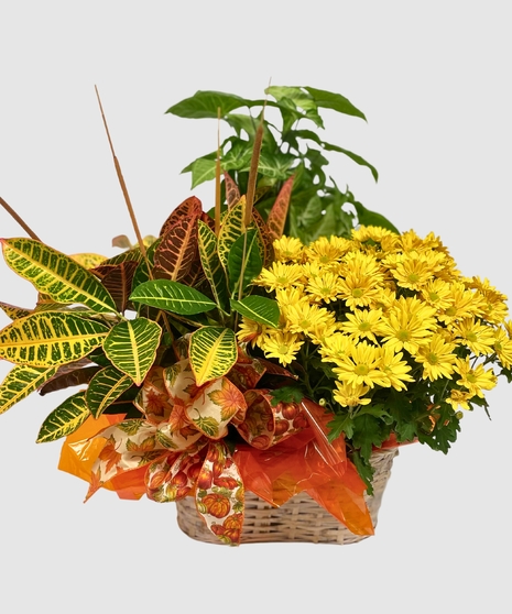 Fall Splendor Plant Basket