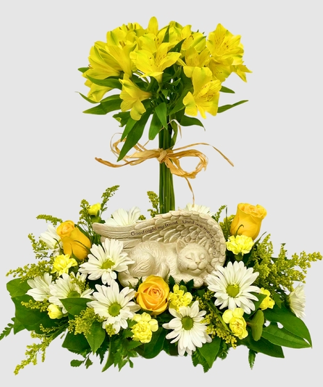 Beloved Feline Friend