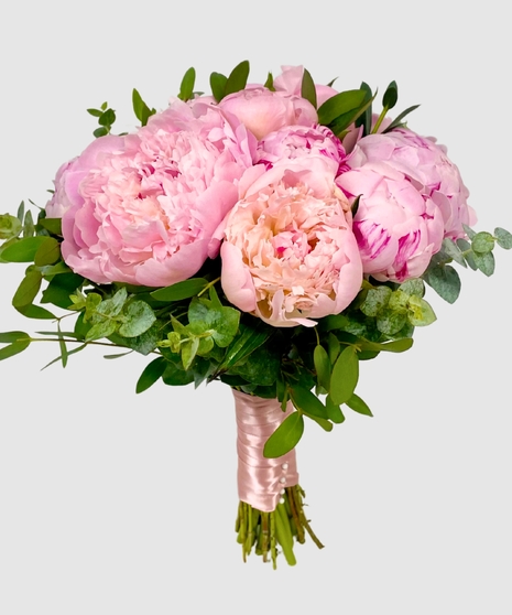 Peony Perfection