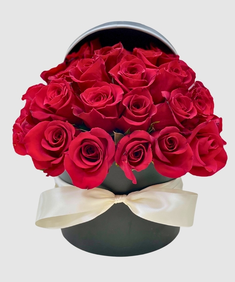 Regal Ruby Roses