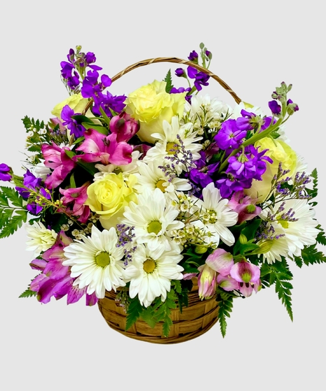 Purple Harmony