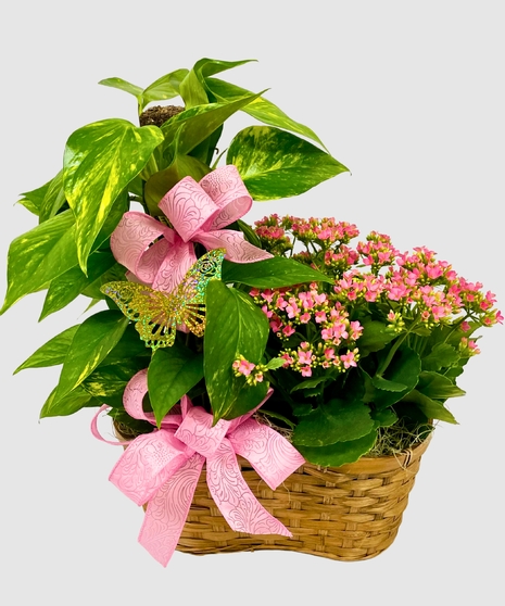 Double Delight Plant Basket