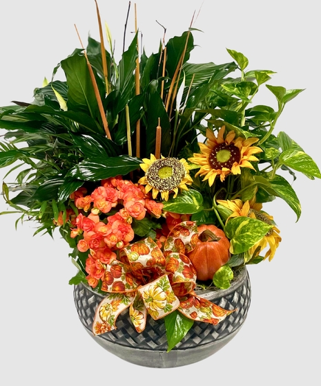 Ceramic Harvest Dish Garden