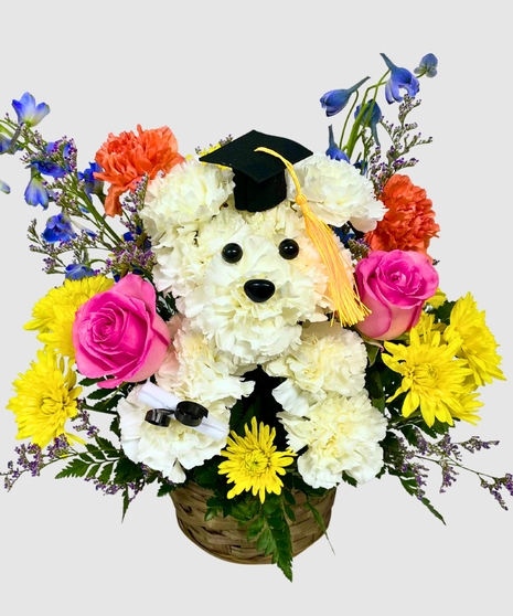 Grad Pup