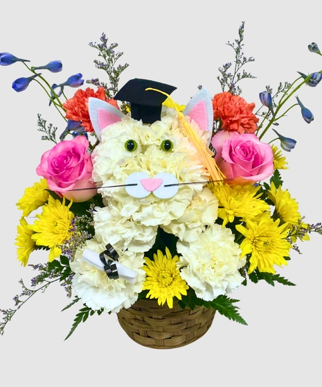 Grad Kitten