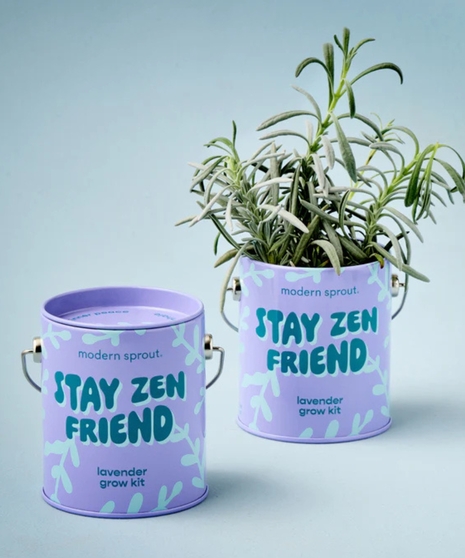 Complimentary Colors Grow Kits