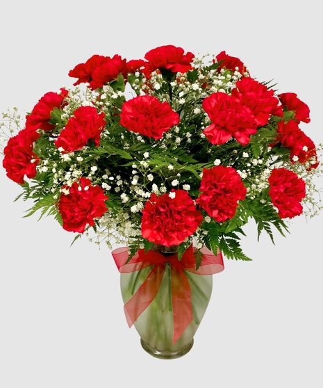 Classic Carnations