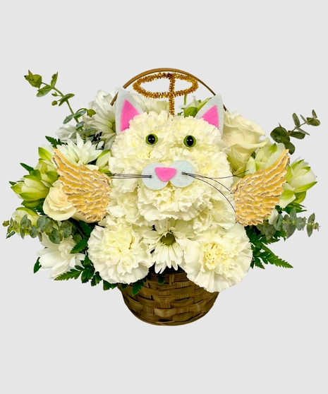 Angel Whiskers