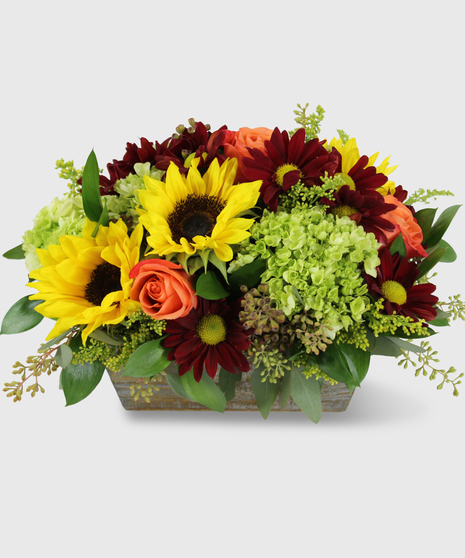 Vibrant Fall Harvest