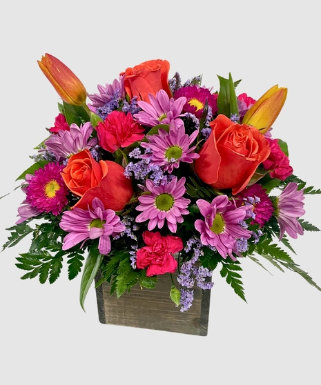 Brilliant Blooms