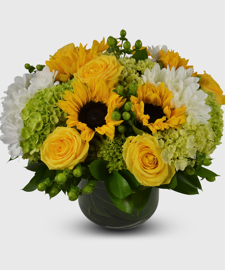 Sunflower Medley