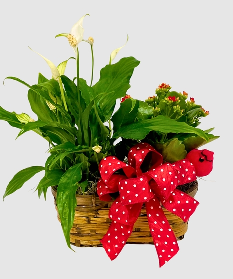 Mini Bloom Basket