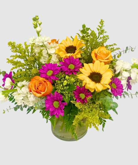 Radiant Blooms