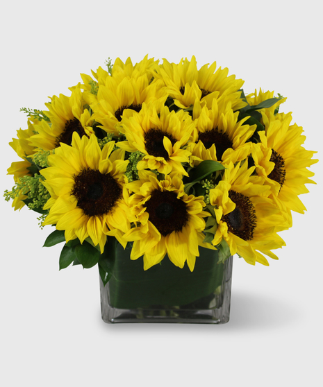 Simply Sunflowers