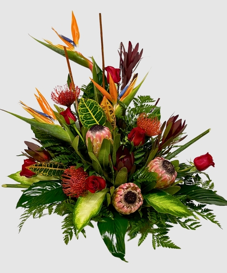 Protea Paradise