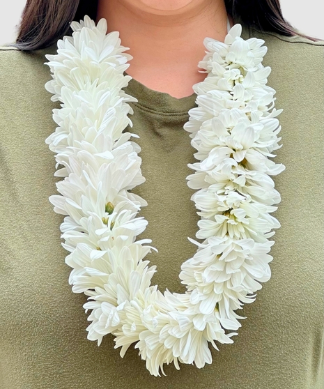 Daisy Lei