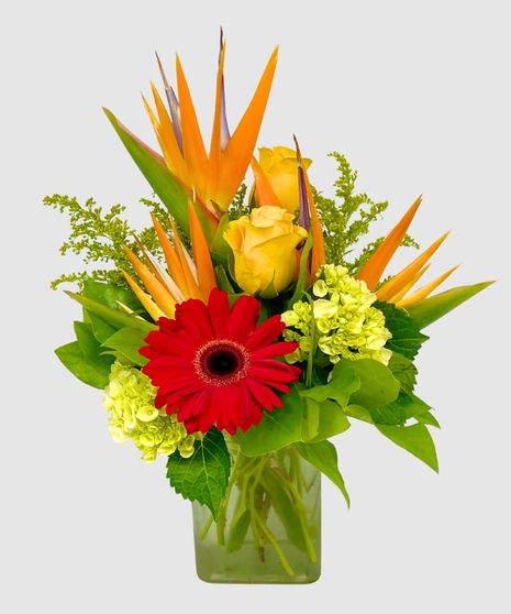Get Well Flowers