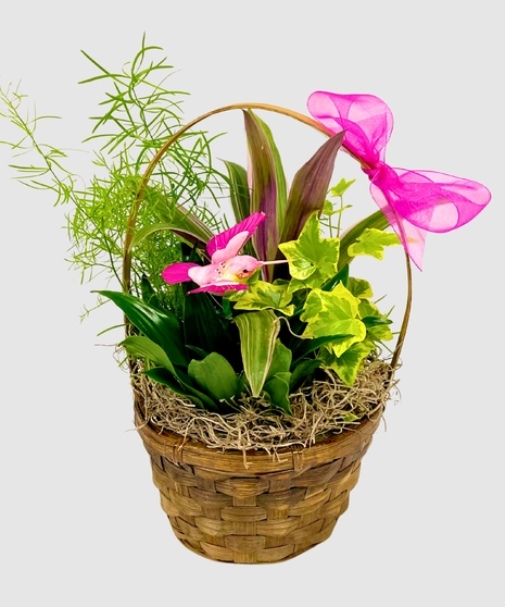 Botanical Basket of Greens