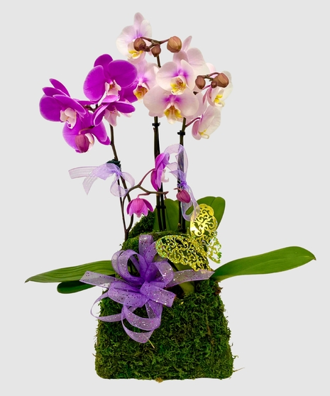 Orchid Purse - Mother's Day