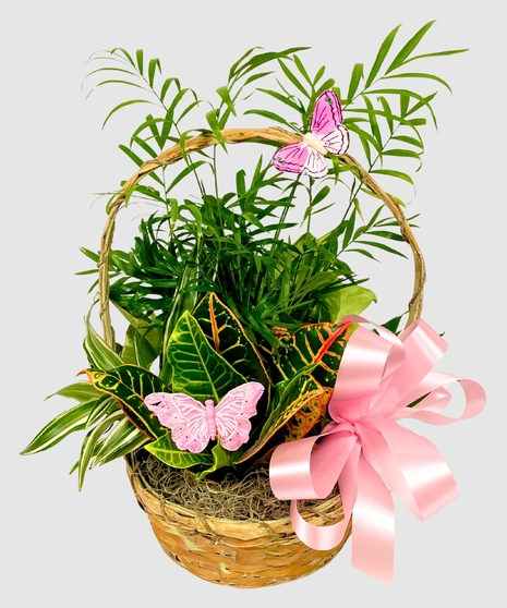 Botanical Basket of Greens - 10