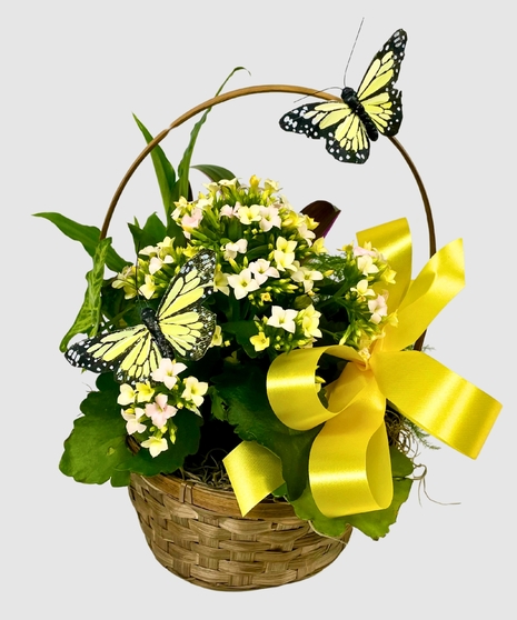 Blooming Basket of Greens
