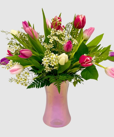 Colorful Tulips